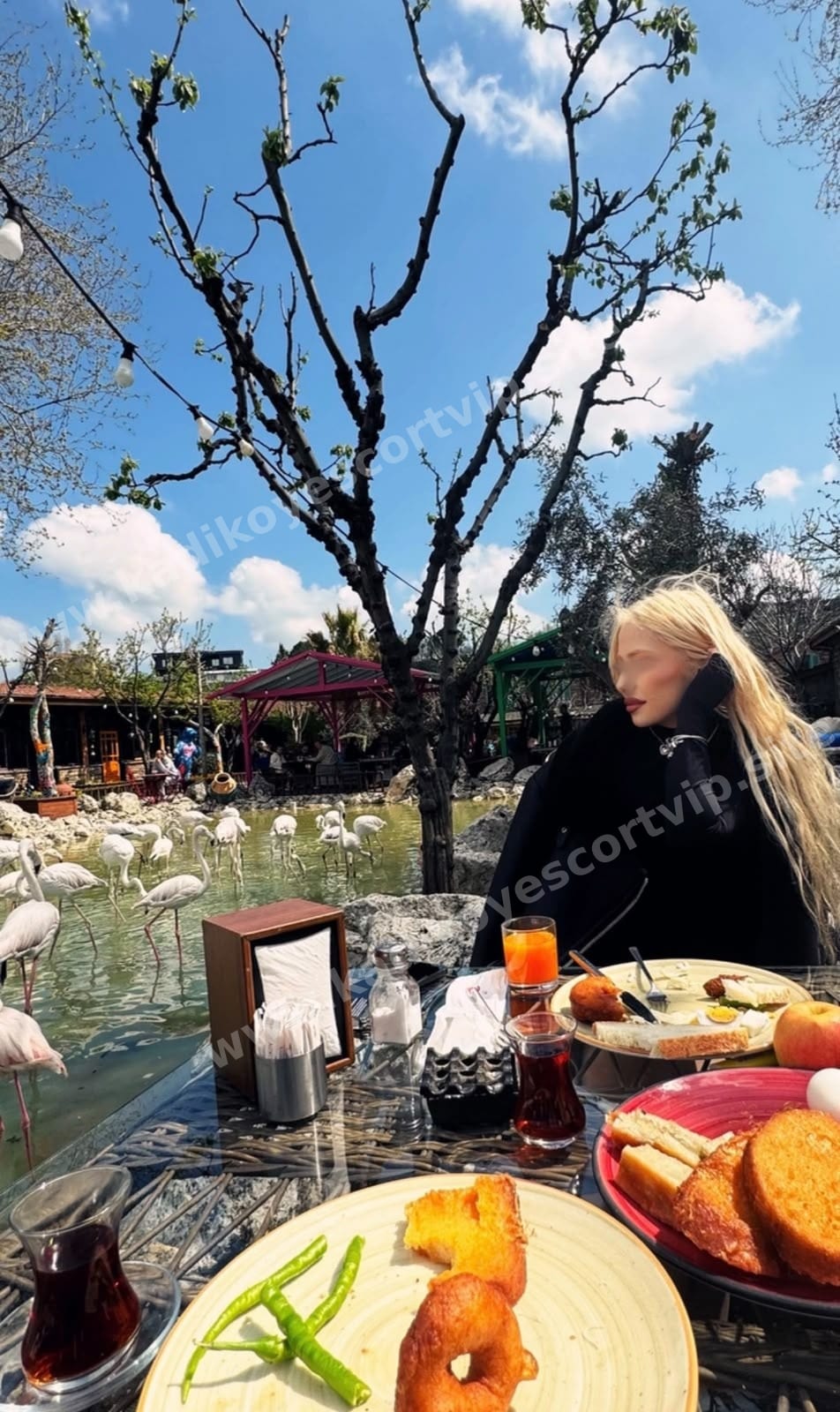 Melike — Başakşehir escort 13